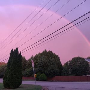 Meet your Posher, George